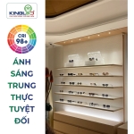 Đèn LED Âm Trần Chiếu Rọi Apple 3W DLR-3BR-T55-V/TT/T Kingled chính hãng
